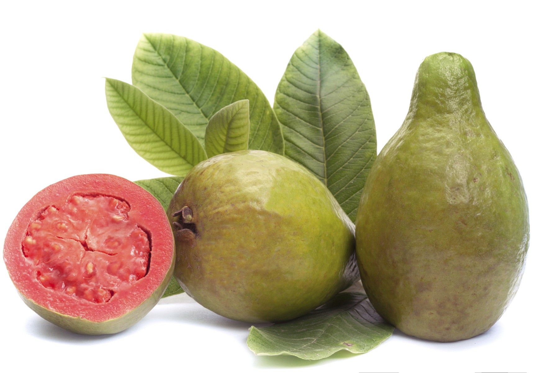 Risultati immagini per frutto guava