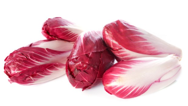 radicchio rosso