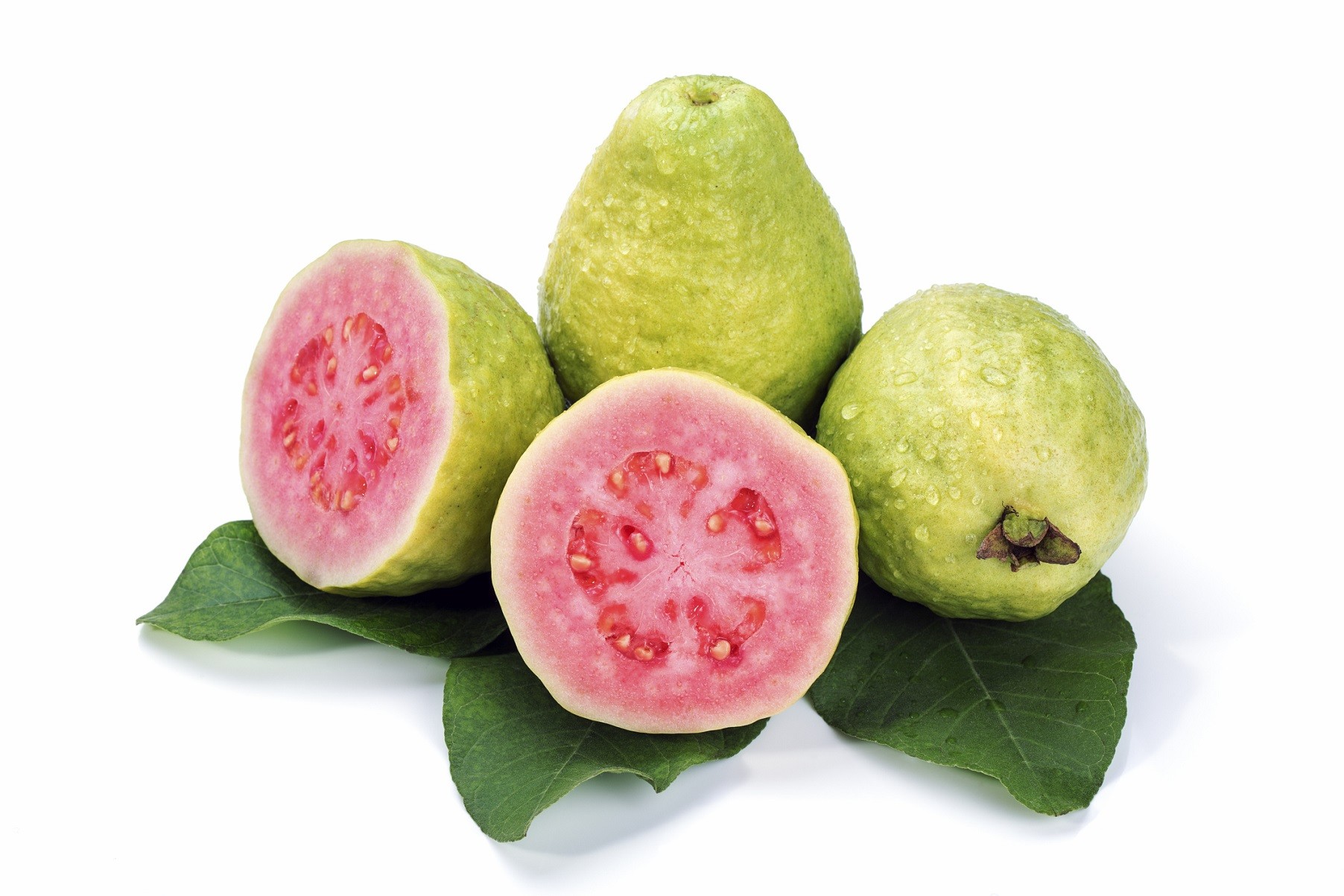  Guava  Semi Benefici