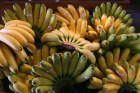Mangiare banane acerbe